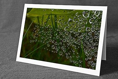 A5-Fotokarte/Klappkarte mit hochwertigem Papierabzug, Einlageblatt und Umschlag. Fototitel: Wassertropfen (Klappkarte, Kunstkarte)