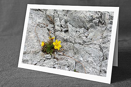 A5-Fotokarte/Klappkarte mit hochwertigem Papierabzug, Einlageblatt und Umschlag. Fototitel: Farbtupfer im Fels (Klappkarte, Kunstkarte)