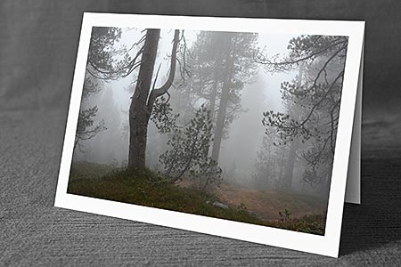 A5-Fotokarte/Klappkarte mit hochwertigem Papierabzug, Einlageblatt und Umschlag. Fototitel: Mystische Stimmung im Wald (Klappkarte, Kunstkarte)