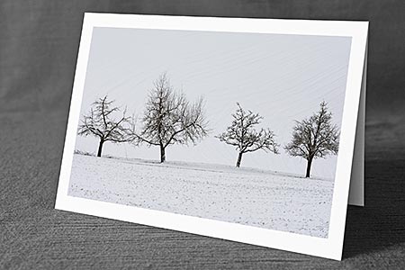 A5-Fotokarte/Klappkarte mit hochwertigem Papierabzug, Einlageblatt und Umschlag. Fototitel: Baumreihe im Winter (Klappkarte, Kunstkarte)