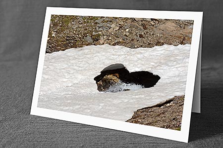 A5-Fotokarte/Klappkarte mit hochwertigem Papierabzug, Einlageblatt und Umschlag. Fototitel: Herz in der Natur (Klappkarte, Kunstkarte)
