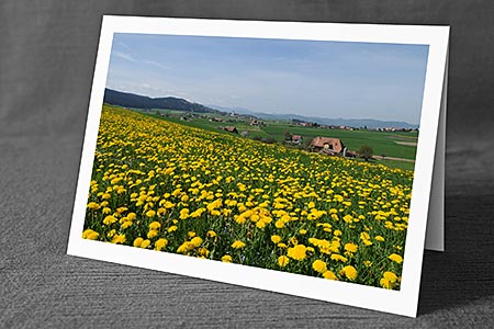 A5-Fotokarte/Klappkarte mit hochwertigem Papierabzug, Einlageblatt und Umschlag. Fototitel: Frühlingslandschaft mit blühender Löwenzahnwiese (Klappkarte, Kunstkarte)