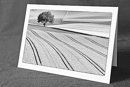 A5-Fotokarte/Klappkarte mit hochwertigem Papierabzug, Einlageblatt und Umschlag. Fototitel: Kulturland mit Baum am Feldrand (Schwarz/Weiss) (Klappkarte, Kunstkarte)