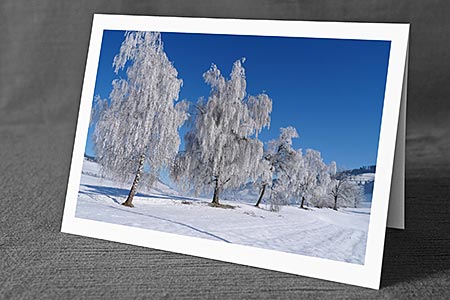 A5-Fotokarte/Klappkarte mit hochwertigem Papierabzug, Einlageblatt und Umschlag. Fototitel: Baumreihe mit Birken voller Raureif (Klappkarte, Kunstkarte)