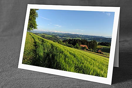 A5-Fotokarte/Klappkarte mit hochwertigem Papierabzug, Einlageblatt und Umschlag. Fototitel: Gerstenfeld und Berner Alpen (Klappkarte, Kunstkarte)
