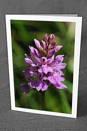 A5-Fotokarte/Klappkarte mit hochwertigem Papierabzug, Einlageblatt und Umschlag. Fototitel: Geburtstagskarte mit Blumen (Klappkarte, Kunstkarte)