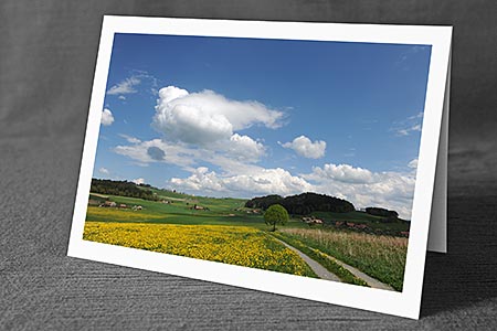 A5-Fotokarte/Klappkarte mit hochwertigem Papierabzug, Einlageblatt und Umschlag. Fototitel: Frühlingslandschaft mit Weg (Klappkarte, Kunstkarte)