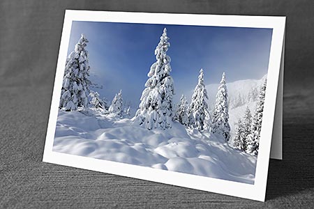A5-Fotokarte/Klappkarte mit hochwertigem Papierabzug, Einlageblatt und Umschlag. Fototitel: Weihnachtskarte Tief verschneite Tannen (Klappkarte, Kunstkarte)