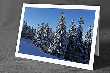 A5-Fotokarte/Klappkarte mit hochwertigem Papierabzug, Einlageblatt und Umschlag. Fototitel: Weihnachtskarte Verschneiter Wald (Klappkarte, Kunstkarte)