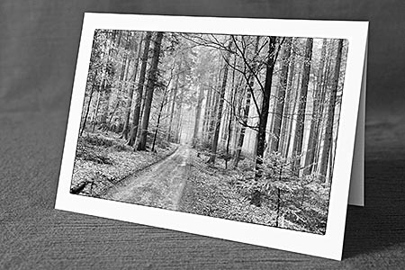 A5-Fotokarte/Klappkarte mit hochwertigem Papierabzug, Einlageblatt und Umschlag. Fototitel: Waldweg (Schwarz/Weiss) (Klappkarte, Kunstkarte)