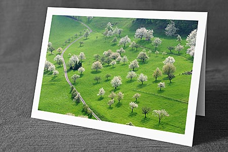 A5-Fotokarte/Klappkarte mit hochwertigem Papierabzug, Einlageblatt und Umschlag. Fototitel: Dankeskarte blühende Bäume (Klappkarte, Kunstkarte)