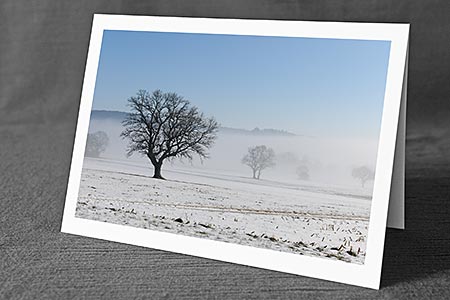 A5-Fotokarte/Klappkarte mit hochwertigem Papierabzug, Einlageblatt und Umschlag. Fototitel: Baum (Klappkarte, Kunstkarte)