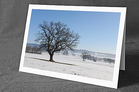 A5-Fotokarte/Klappkarte mit hochwertigem Papierabzug, Einlageblatt und Umschlag. Fototitel: Baum in Winterlandschaft (Klappkarte, Kunstkarte)