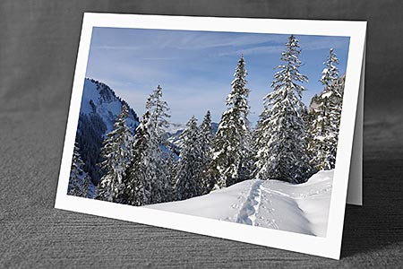 A5-Fotokarte/Klappkarte mit hochwertigem Papierabzug, Einlageblatt und Umschlag. Fototitel: Verschneiter Wald und Spur im Neuschnee (Klappkarte, Kunstkarte)