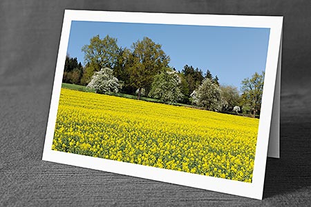 A5-Fotokarte/Klappkarte mit hochwertigem Papierabzug, Einlageblatt und Umschlag. Fototitel: Glückwunschkarte Frühlingslandschaft (Klappkarte, Kunstkarte)