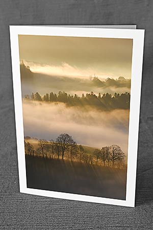 A5-Fotokarte/Klappkarte mit hochwertigem Papierabzug, Einlageblatt und Umschlag. Fototitel: Fotokunstkarte Baumreihe im Gegenlicht (Klappkarte, Kunstkarte)