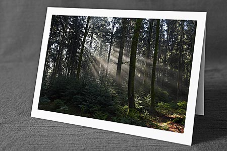 A5-Fotokarte/Klappkarte mit hochwertigem Papierabzug, Einlageblatt und Umschlag. Fototitel: Lichstrahlen im Tannenwald (Klappkarte, Kunstkarte)
