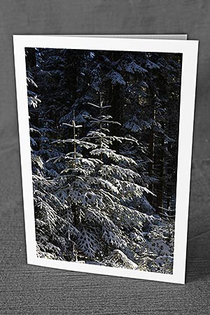 A5-Fotokarte/Klappkarte mit hochwertigem Papierabzug, Einlageblatt und Umschlag. Fototitel: Weihnachtskarte Verschneite Tännchen (Klappkarte, Kunstkarte)