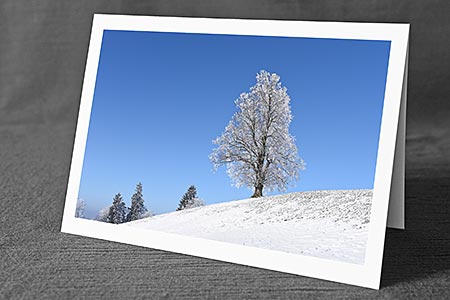 A5-Fotokarte/Klappkarte mit hochwertigem Papierabzug, Einlageblatt und Umschlag. Fototitel: Linde im Winter (Klappkarte, Kunstkarte)