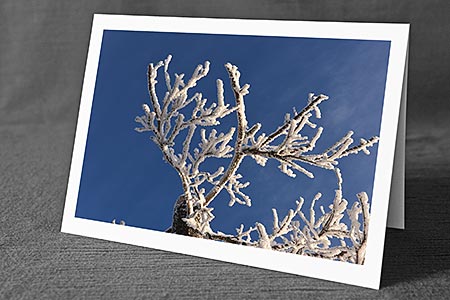 A5-Fotokarte/Klappkarte mit hochwertigem Papierabzug, Einlageblatt und Umschlag. Fototitel: Gefrorener Schnee (Klappkarte, Kunstkarte)