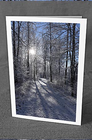 A5-Fotokarte/Klappkarte mit hochwertigem Papierabzug, Einlageblatt und Umschlag. Fototitel: Märchenhafter lichter Wald (Klappkarte, Kunstkarte)