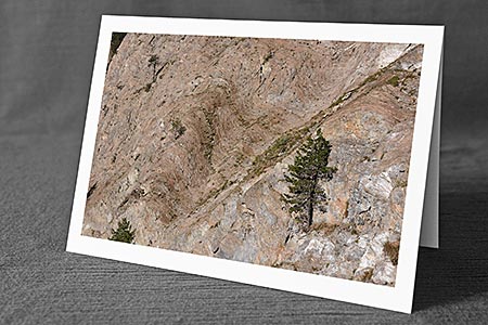 A5-Fotokarte/Klappkarte mit hochwertigem Papierabzug, Einlageblatt und Umschlag. Fototitel: Felswand mit Arve (Klappkarte, Kunstkarte)