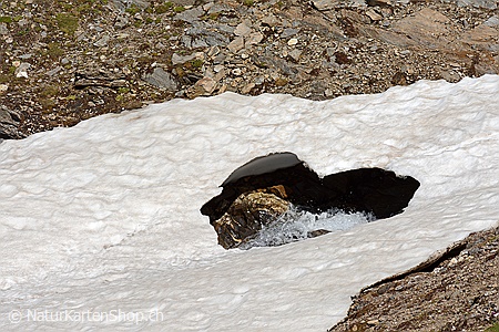 A5-Fotokarte/Klappkarte mit hochwertigem Papierabzug, Einlageblatt und Umschlag. Fototitel: Herz in der Natur (Klappkarte, Kunstkarte)