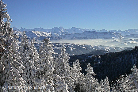 A5-Fotokarte/Klappkarte mit hochwertigem Papierabzug, Einlageblatt und Umschlag. Fototitel: Winterstimmung mit tief verschneiten Tannen vor Alpenpanorama (Klappkarte, Kunstkarte)