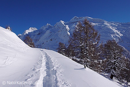 A5-Fotokarte/Klappkarte mit hochwertigem Papierabzug, Einlageblatt und Umschlag. Fototitel: Schneeschuhspur (Klappkarte, Kunstkarte)