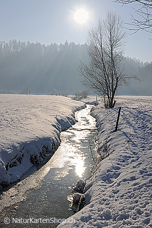 A5-Fotokarte/Klappkarte mit hochwertigem Papierabzug, Einlageblatt und Umschlag. Fototitel: Bach in sonniger Winterlandschaft (Klappkarte, Kunstkarte)
