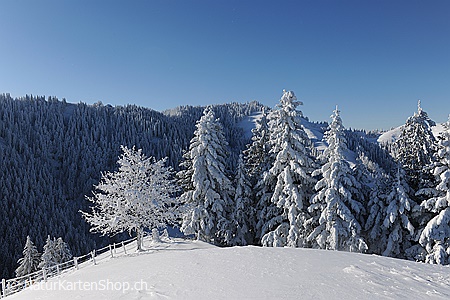 A5-Fotokarte/Klappkarte mit hochwertigem Papierabzug, Einlageblatt und Umschlag. Fototitel: Weihnachtskarte Märchenhafte Winterstimmung (Klappkarte, Kunstkarte)