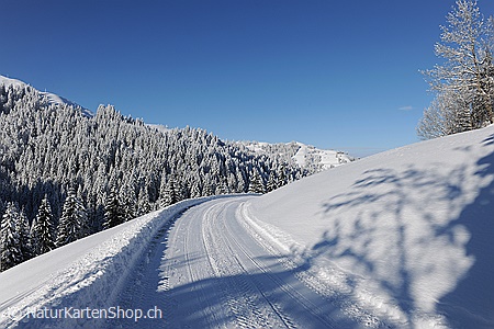 A5-Fotokarte/Klappkarte mit hochwertigem Papierabzug, Einlageblatt und Umschlag. Fototitel: Neujahrskarte Tief verschneite Winterlandschaft (Klappkarte, Kunstkarte)