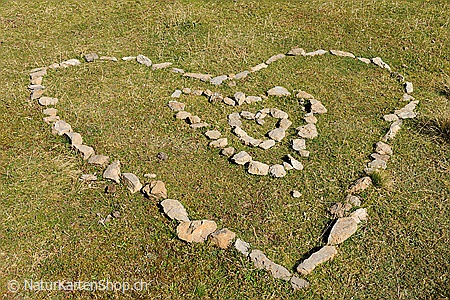 A5-Fotokarte/Klappkarte mit hochwertigem Papierabzug, Einlageblatt und Umschlag. Fototitel: Kunstkarte Herz (Klappkarte, Kunstkarte)