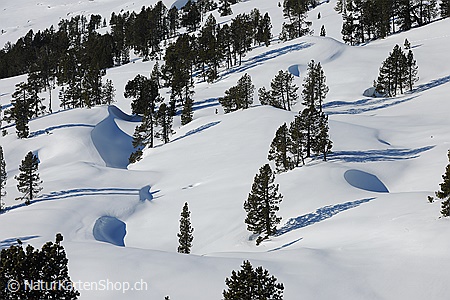 A5-Fotokarte/Klappkarte mit hochwertigem Papierabzug, Einlageblatt und Umschlag. Fototitel: Durch Wächten geformte Schneelandschaft in lichtem Bergwald (Klappkarte, Kunstkarte)