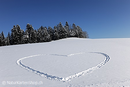 A5-Fotokarte/Klappkarte mit hochwertigem Papierabzug, Einlageblatt und Umschlag. Fototitel: Grusskarte Herz (Klappkarte, Kunstkarte)