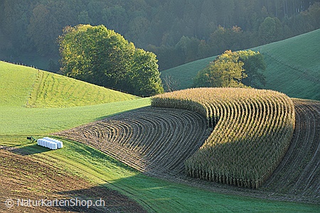A5-Fotokarte/Klappkarte mit hochwertigem Papierabzug, Einlageblatt und Umschlag. Fototitel: Formen in der Landschaft (Klappkarte, Kunstkarte)