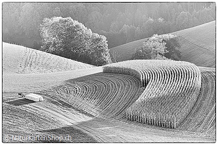 A5-Fotokarte/Klappkarte mit hochwertigem Papierabzug, Einlageblatt und Umschlag. Fototitel: Formen in der Landschaft (Schwarz/Weiss) (Klappkarte, Kunstkarte)