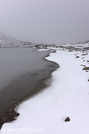 A5-Fotokarte/Klappkarte mit hochwertigem Papierabzug, Einlageblatt und Umschlag. Fototitel: Trauerkarte Natur (Klappkarte, Kunstkarte)