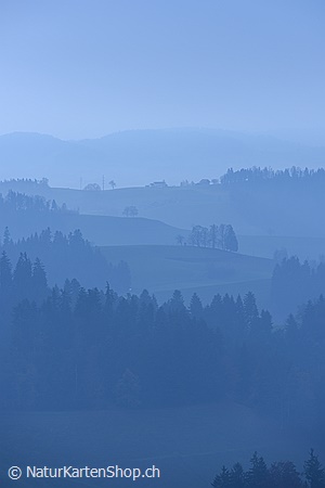 A5-Fotokarte/Klappkarte mit hochwertigem Papierabzug, Einlageblatt und Umschlag. Fototitel: Hügellandschaft (Klappkarte, Kunstkarte)