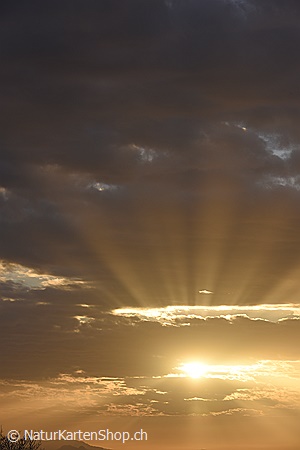 A5-Fotokarte/Klappkarte mit hochwertigem Papierabzug, Einlageblatt und Umschlag. Fototitel: Sonnenstrahlen am Morgenhimmel (Klappkarte, Kunstkarte)