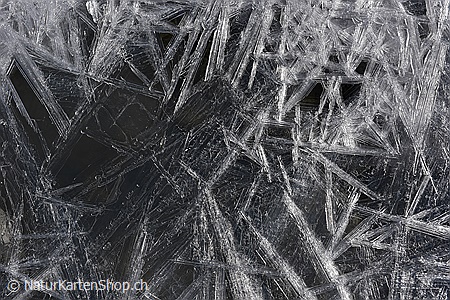 A5-Fotokarte/Klappkarte mit hochwertigem Papierabzug, Einlageblatt und Umschlag. Fototitel: Eiskristalle mit langen, kräftigen Strahlen (Klappkarte, Kunstkarte)