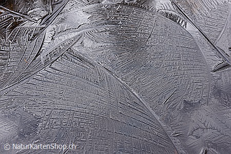 A5-Fotokarte/Klappkarte mit hochwertigem Papierabzug, Einlageblatt und Umschlag. Fototitel: Formen auf dünner Eisschicht (Klappkarte, Kunstkarte)