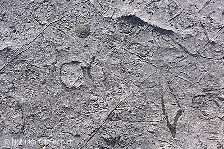 A5-Fotokarte/Klappkarte mit hochwertigem Papierabzug, Einlageblatt und Umschlag. Fototitel: Muster auf Fels einer Karstlandschaft (Klappkarte, Kunstkarte)