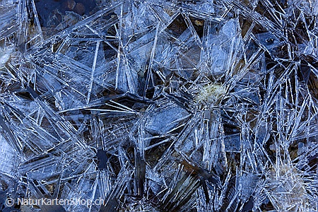 A5-Fotokarte/Klappkarte mit hochwertigem Papierabzug, Einlageblatt und Umschlag. Fototitel: Neujahrskarte Eiskristalle auf Wasseroberfläche (Klappkarte, Kunstkarte)
