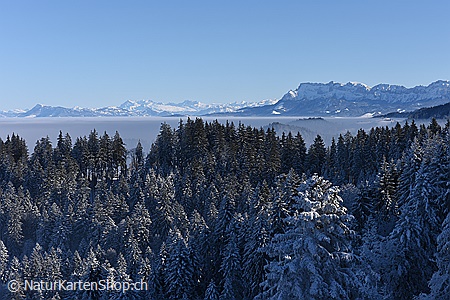 A5-Fotokarte/Klappkarte mit hochwertigem Papierabzug, Einlageblatt und Umschlag. Fototitel: Verschneiter Wald und Aussicht zum Pilatus (Klappkarte, Kunstkarte)