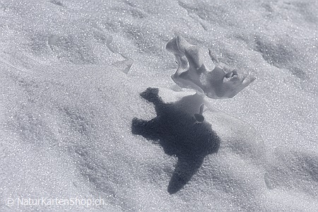 A5-Fotokarte/Klappkarte mit hochwertigem Papierabzug, Einlageblatt und Umschlag. Fototitel: Lustig geformtes Schneestück mit ebenso lustigem Schattenwurf (Klappkarte, Kunstkarte)