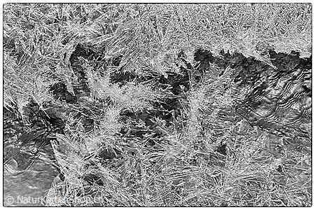 A5-Fotokarte/Klappkarte mit hochwertigem Papierabzug, Einlageblatt und Umschlag. Fototitel: Weihnachtskarte Eiskristalle (schwarzweiss) (Klappkarte, Kunstkarte)