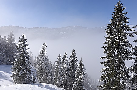 A5-Fotokarte/Klappkarte mit hochwertigem Papierabzug, Einlageblatt und Umschlag. Fototitel: Winterstimmung (Klappkarte, Kunstkarte)