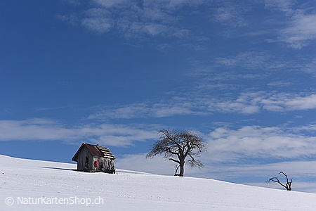 A5-Fotokarte/Klappkarte mit hochwertigem Papierabzug, Einlageblatt und Umschlag. Fototitel: Kleines Haus in weiter Landschaft (Klappkarte, Kunstkarte)