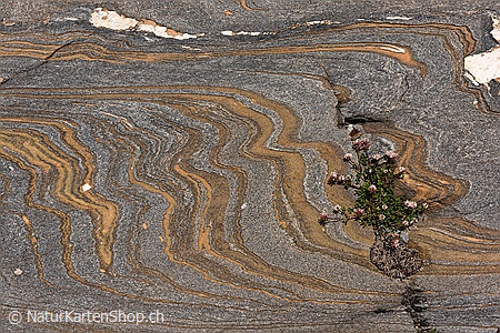 A5-Fotokarte/Klappkarte mit hochwertigem Papierabzug, Einlageblatt und Umschlag. Fototitel: Spannende Zeichnung im Fels (Klappkarte, Kunstkarte)